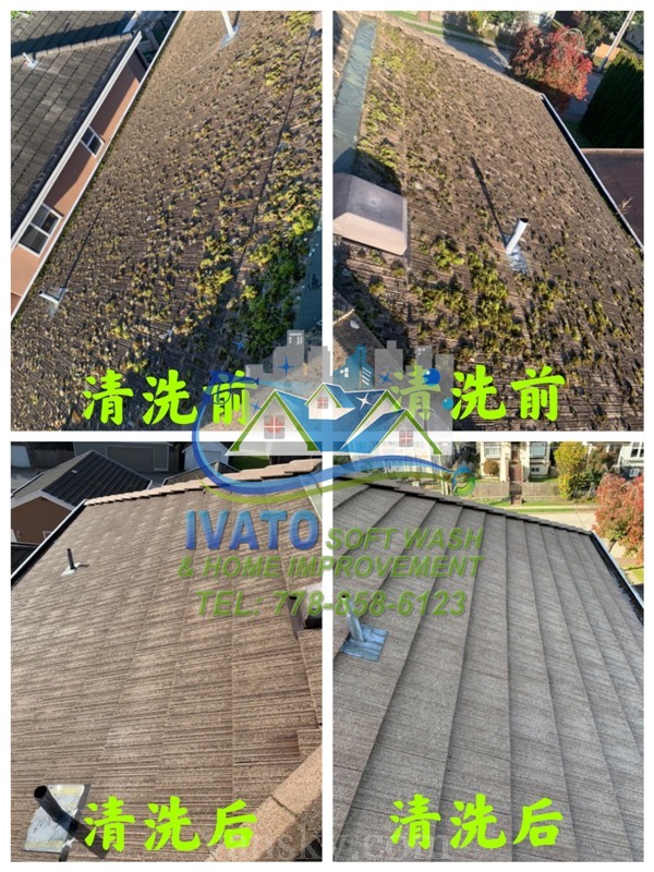220328174433_01- Roof  Cleaning 05.1.jpg